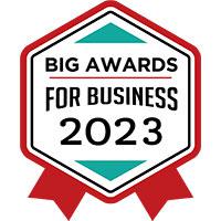 BIG Awards for Business Winner logo